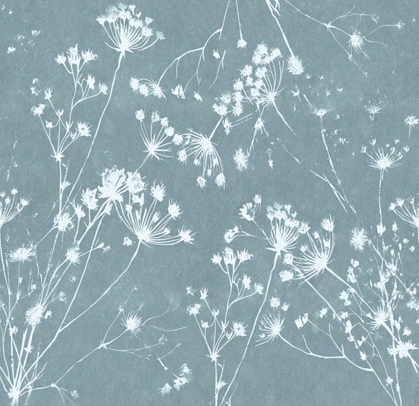 Ethereal Dandelion Dance