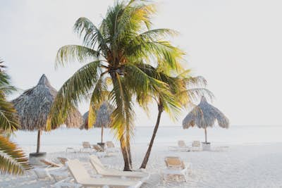 Τοιχογραφία