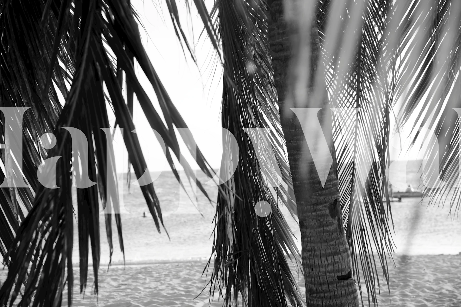 Caribbean Beach Bliss 4 wallpaper in room