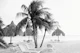 Cas Abao - Tropical Beach Escape 5