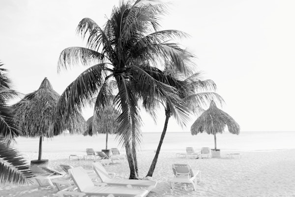 Cas Abao - Tropical Beach Escape 5