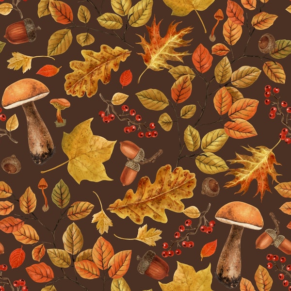 Autumnal forest on brown