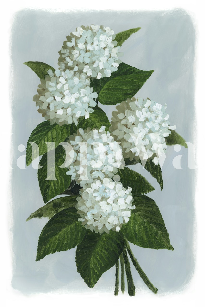 Bluma hydrangea bouquet Tapete in einem Raum