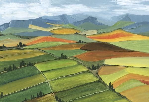 Theodore patchwork landscape