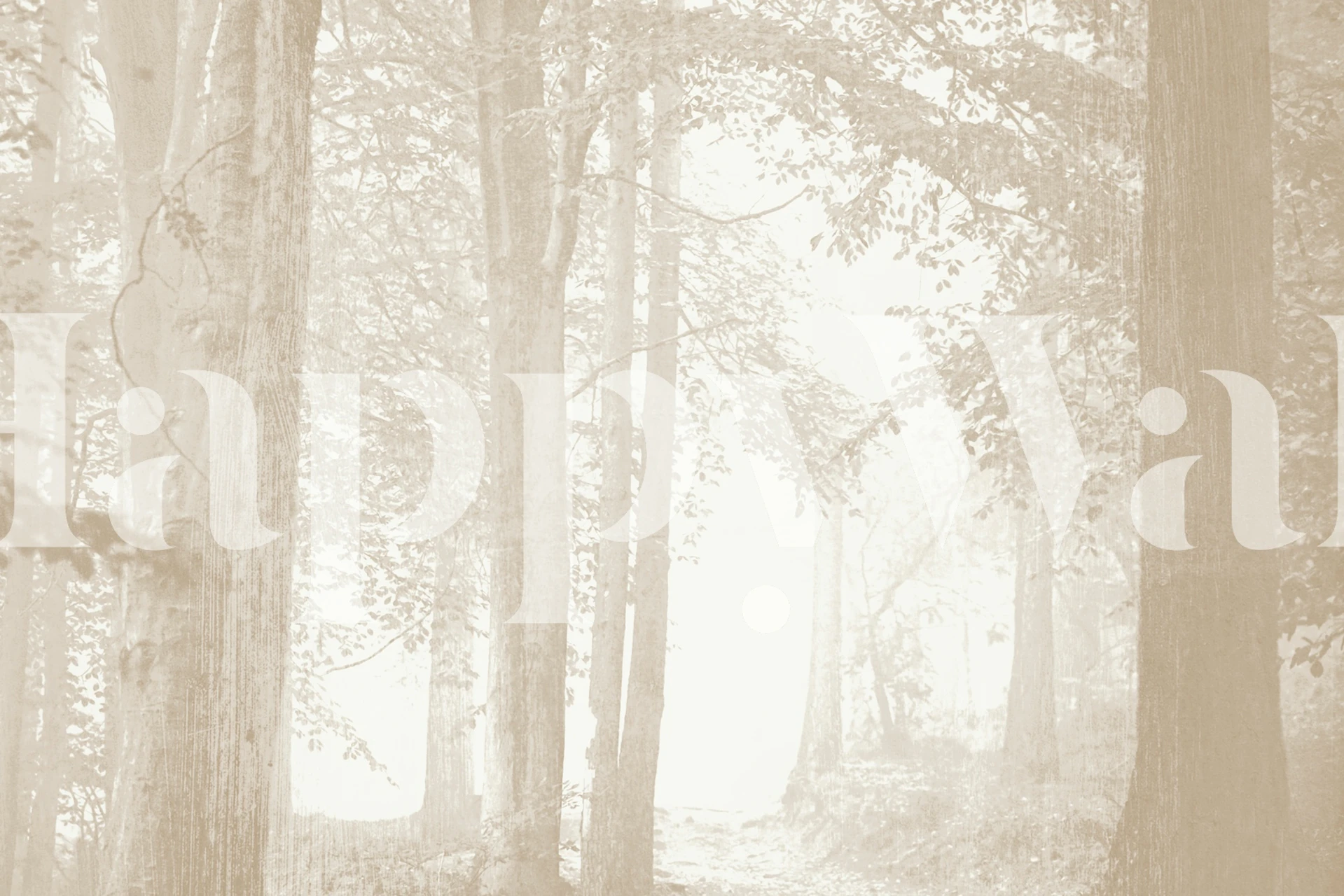 Gray forest scene with misty atmosphere wallpaper