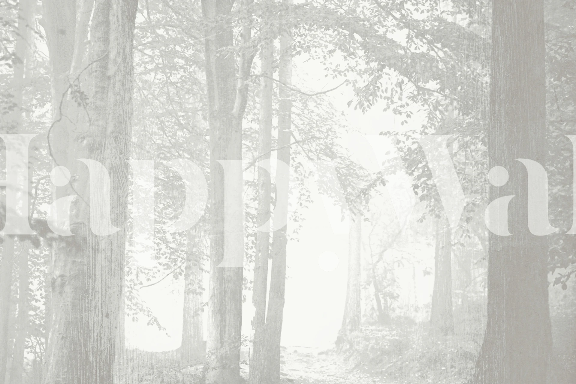 Misty forest with tall trees in soft grey and white wallpaper