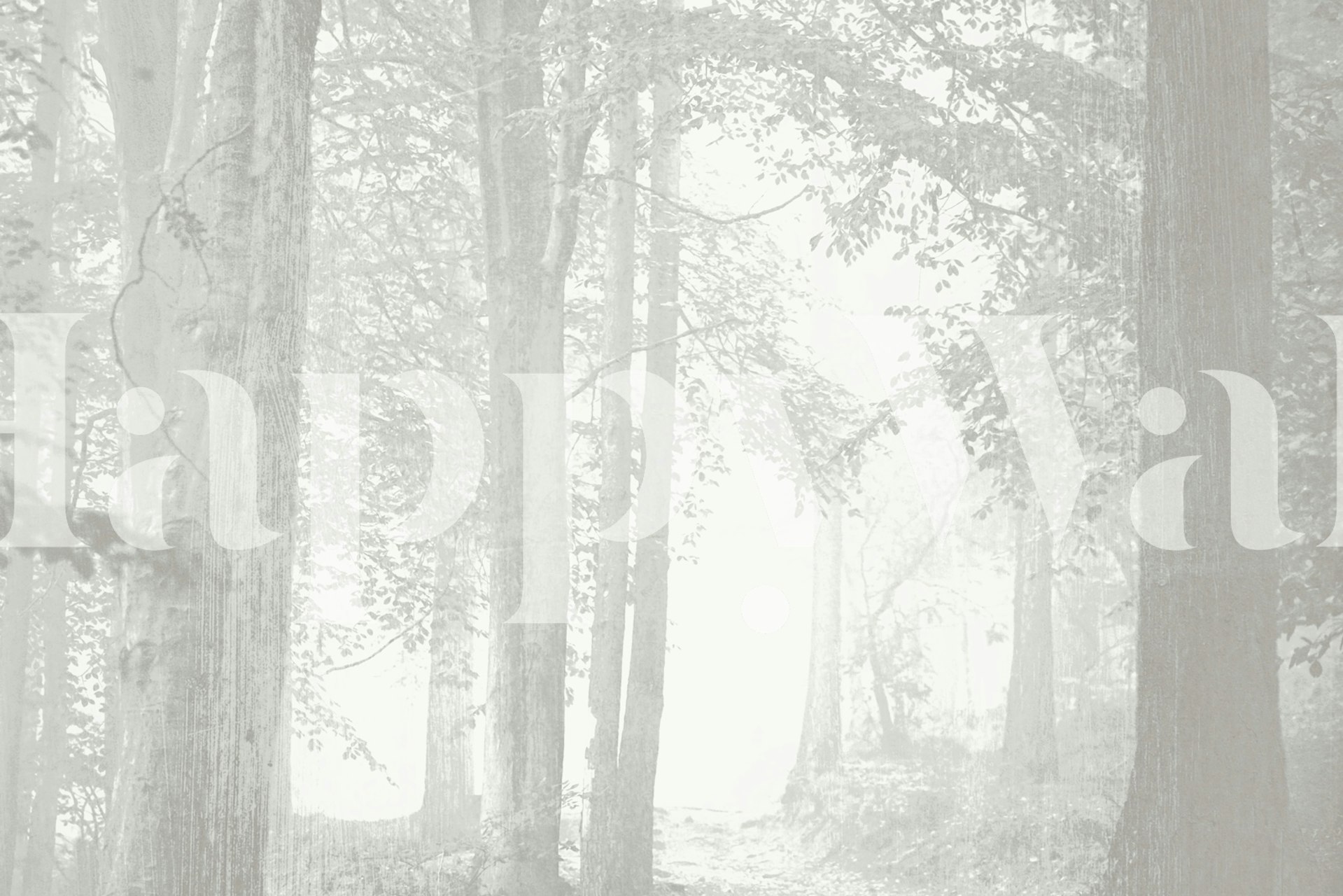 Misty forest with tall trees in soft grey and white wallpaper