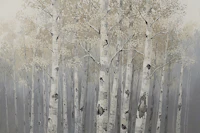 Silent Birch Haven carta da parati