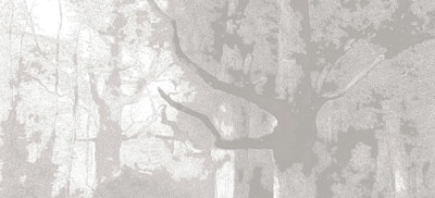 Mural
