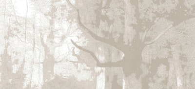 Mural
