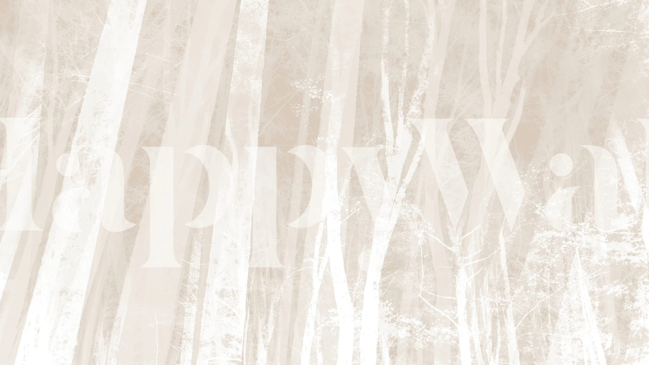 Birch tree trunks in a foggy white forest wallpaper