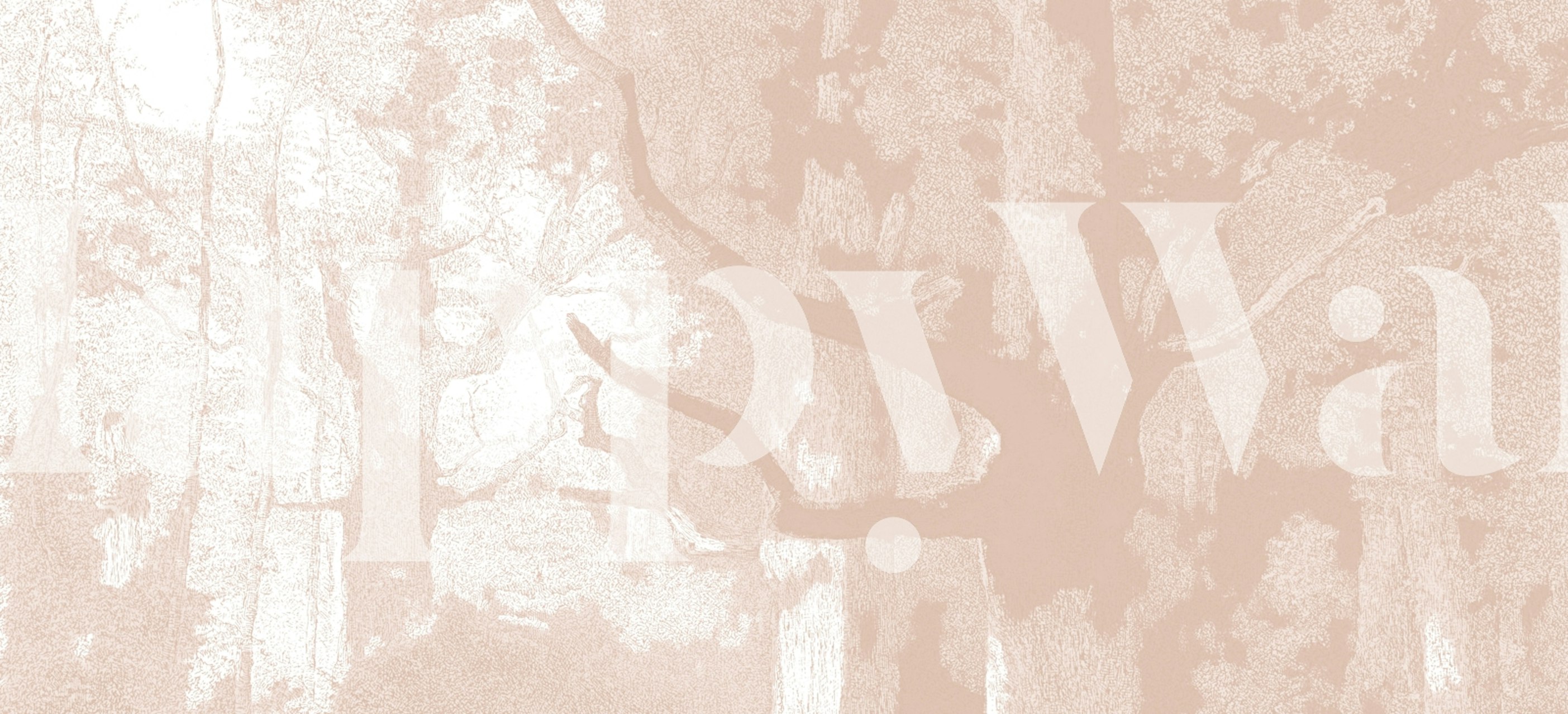 Tapeta Whispering Woodland v místnosti