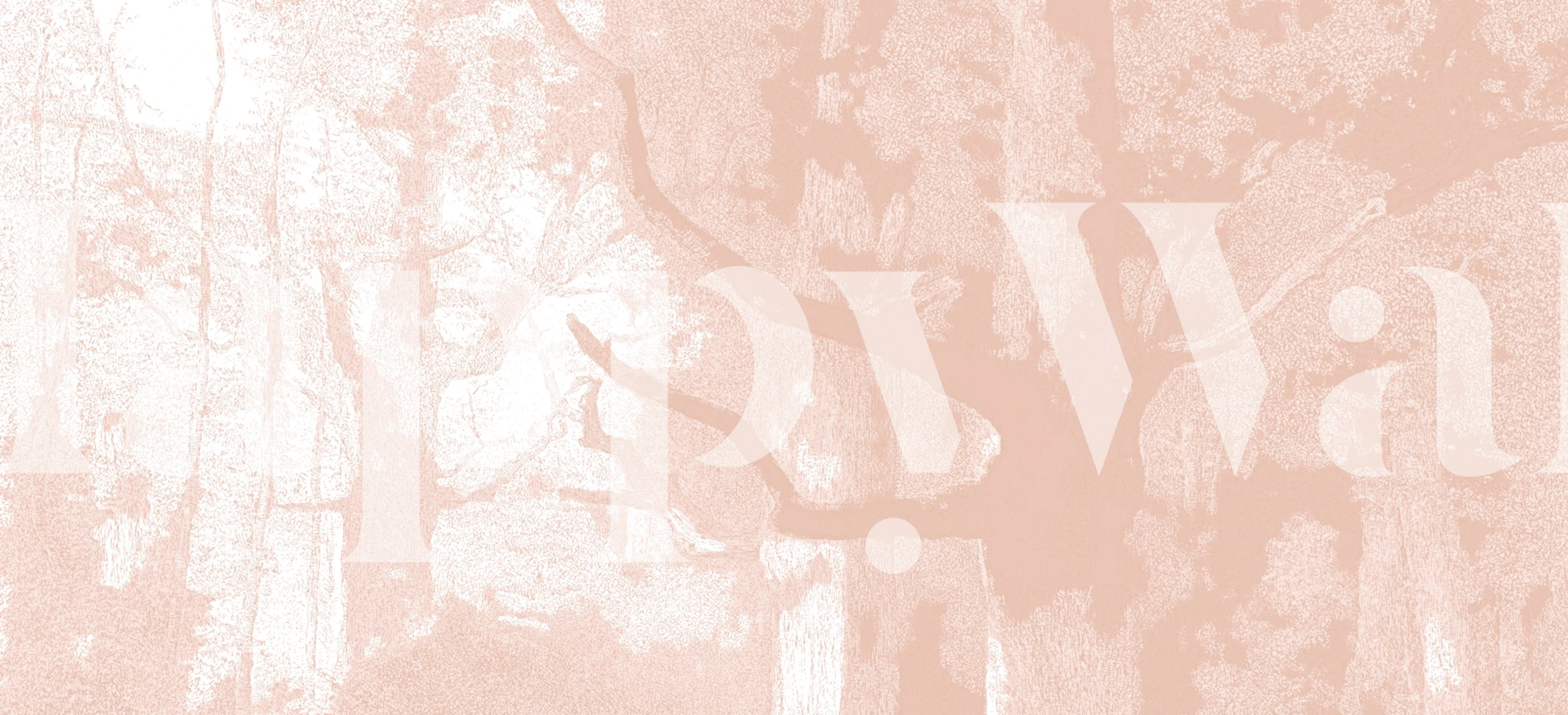 Whispering Woodland wallpaper in a room