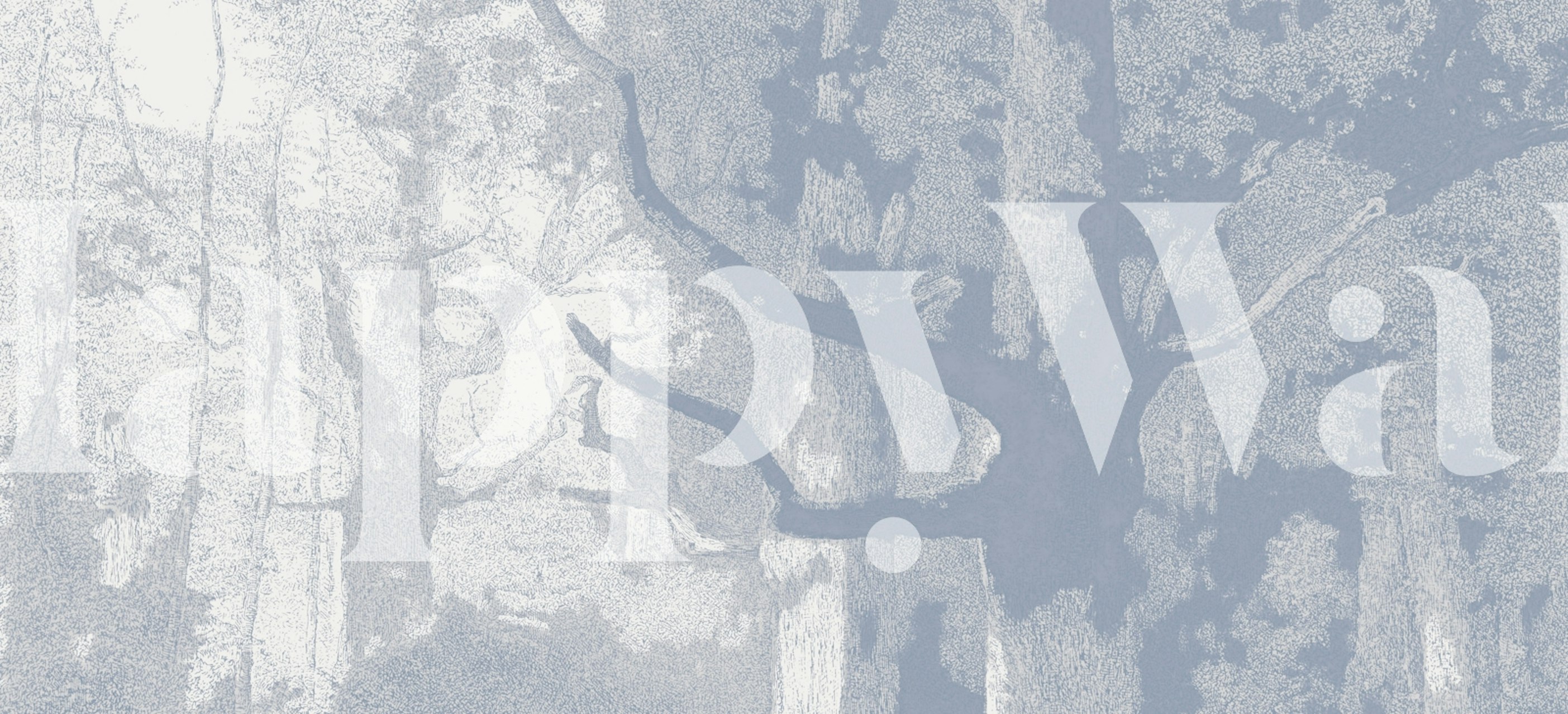 Gray tree silhouettes with intricate branch details wallpaper