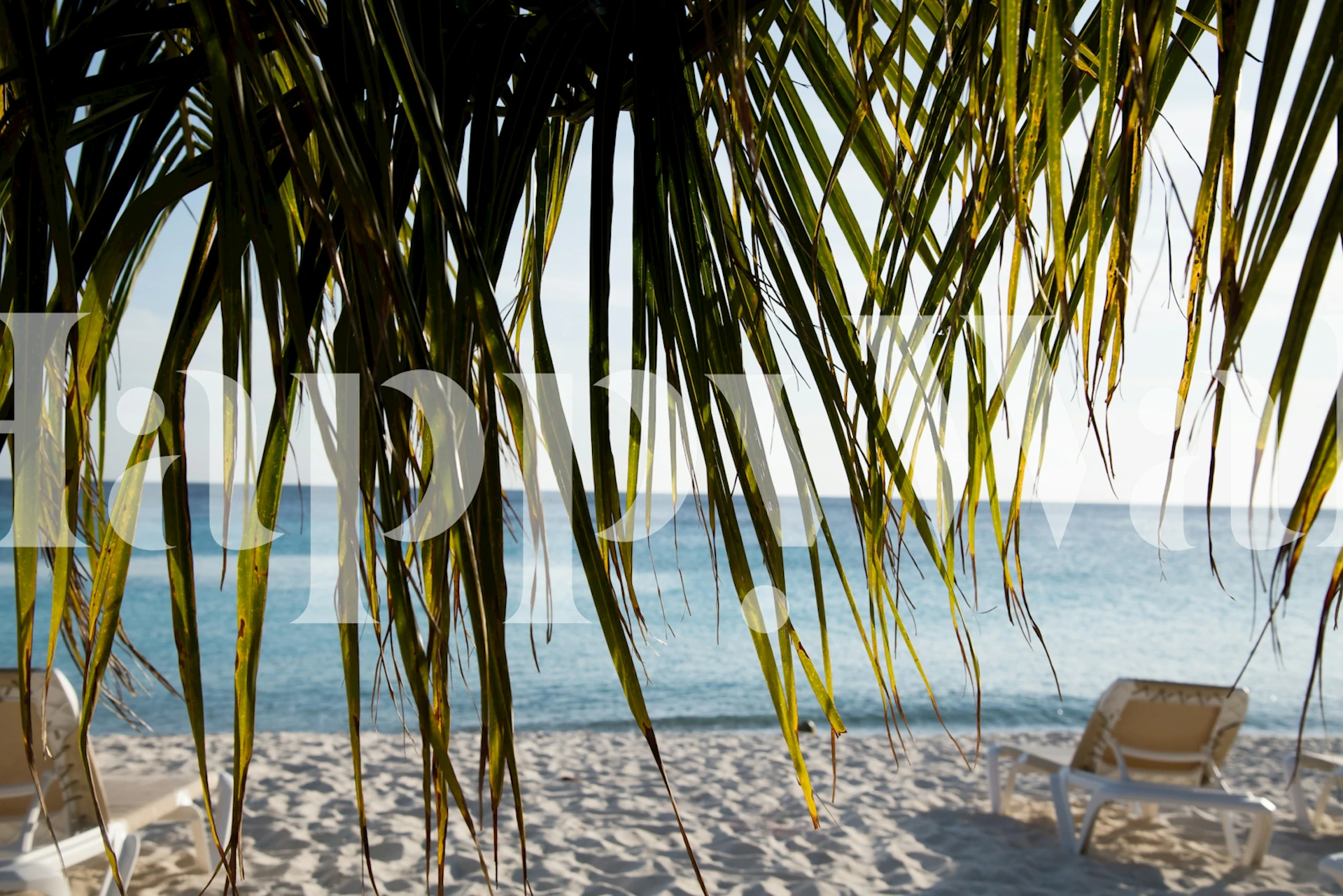 Caribbean Beach Wallpaper u dnevnom boravku