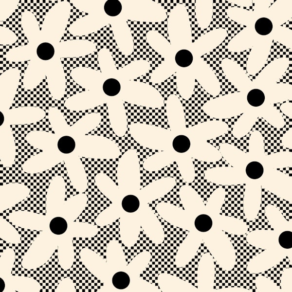 Daisy Time Checkered Floral Black and Cream