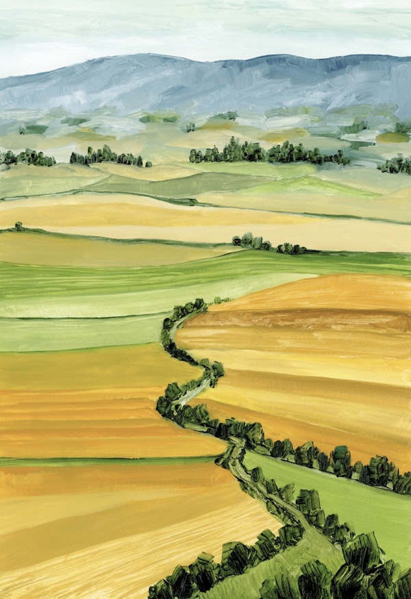 Queniva patchwork landscape