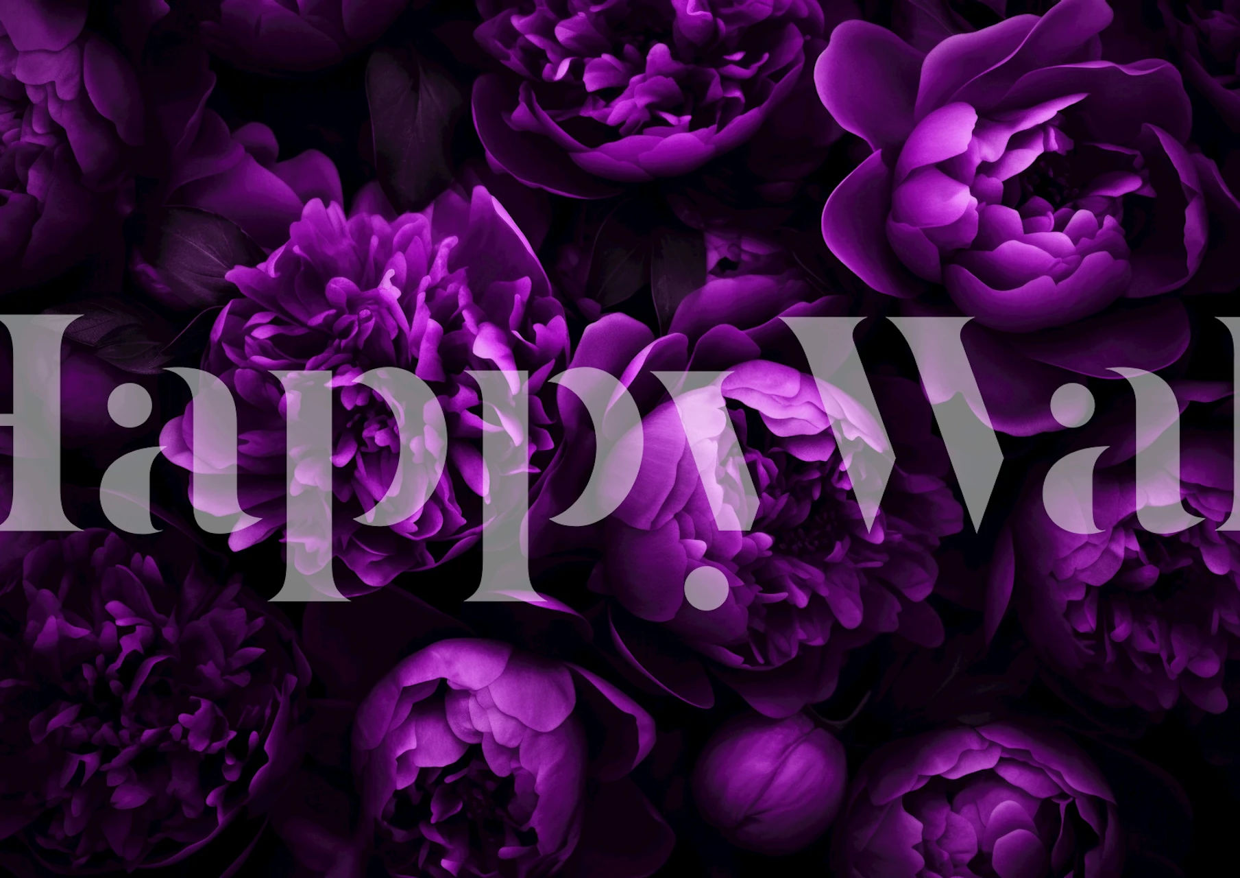 Midnight Garden Opulent Flowers tapetti huoneessa