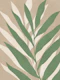 Botanical Leaves Art