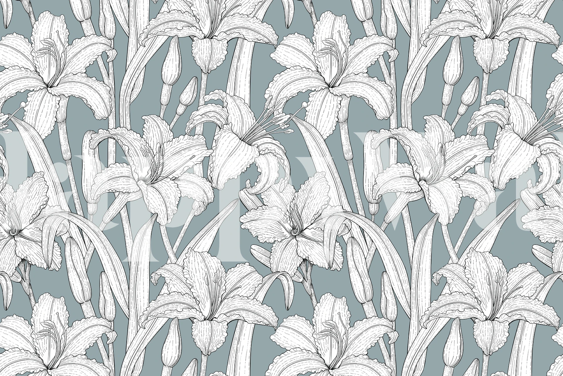 Floral daylily wallpaper in a room