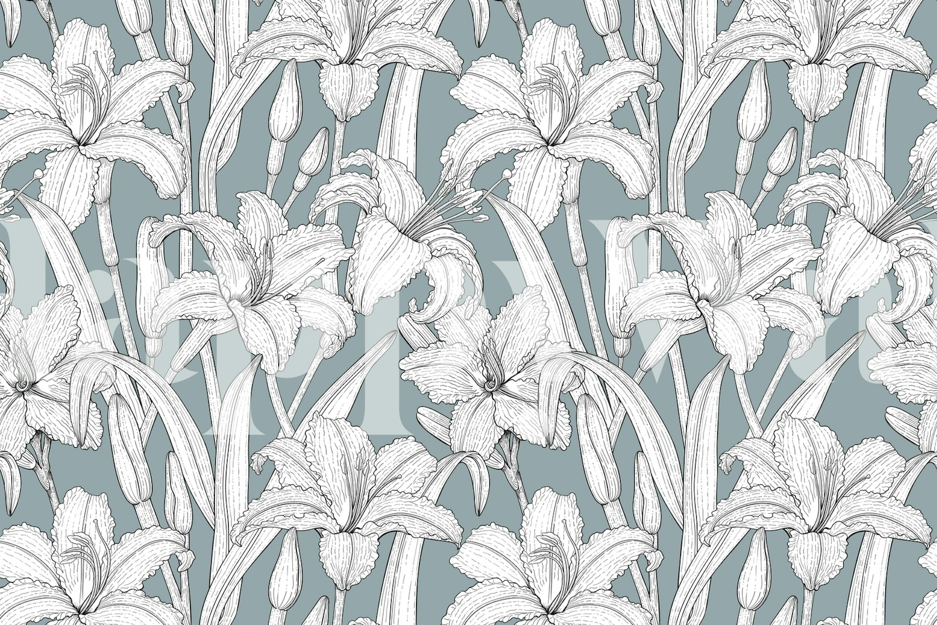 Floral daylily wallpaper in a room