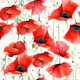 Poppy majestic love