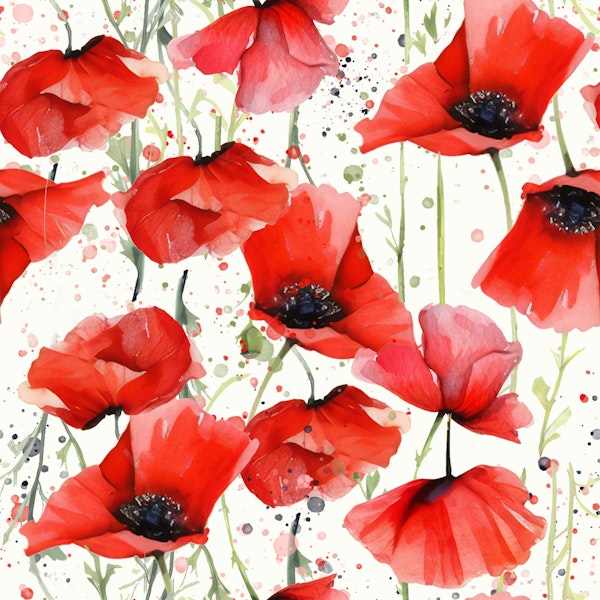 Poppy majestic love