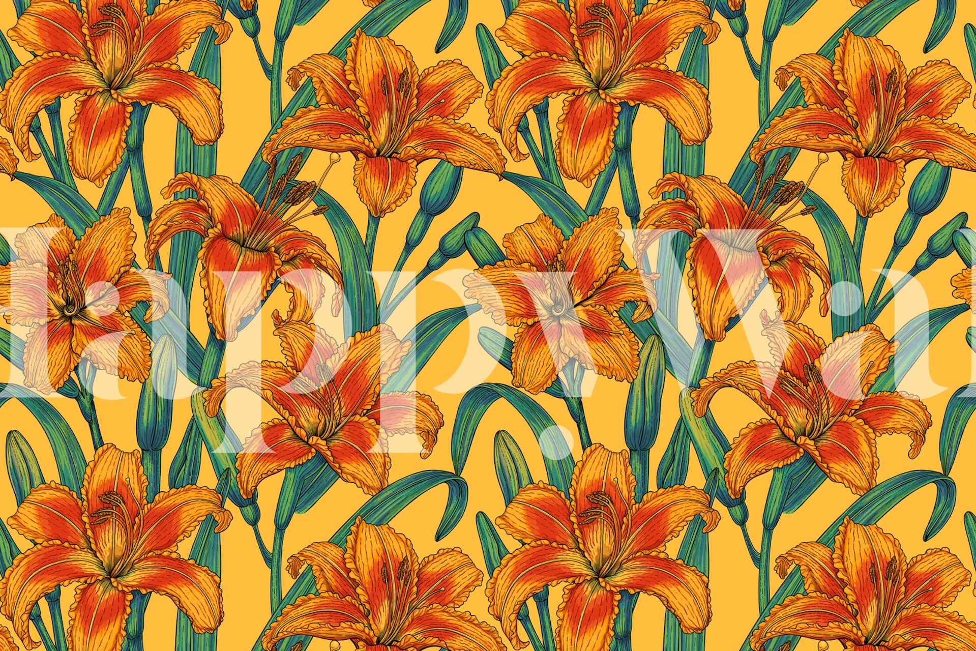 Tawny daylily flowers tapet i ett rum