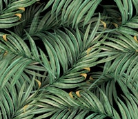 Palm Leaves (black BG) tapete