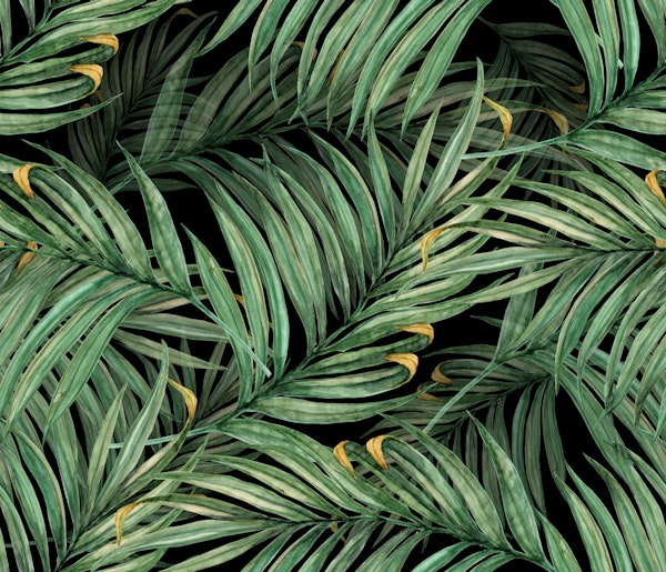 Palm Leaves (black BG)