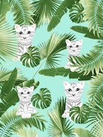 Baby Cat in the Jungle 2 papiers peint