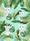 Baby Cat in the Jungle 2