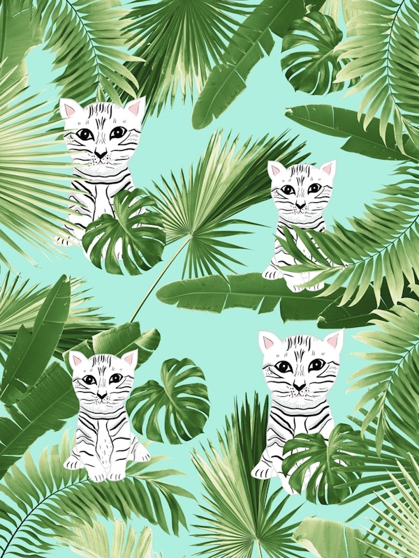 Baby Cat in the Jungle 2