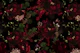 Midnight Flora Essence