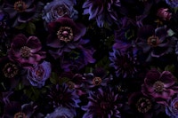Nocturnal Purple Blooms tapete