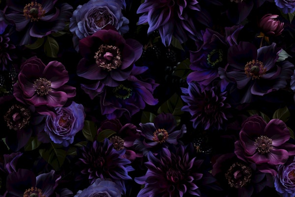 Nocturnal Purple Blooms