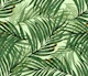 Palm Leaves (greeny)
