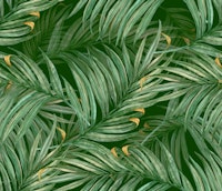 Palm Leaves (green BG) tapete