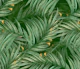 Palm Leaves (green BG)
