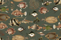 Tropical Oceania Fish Haven wallpaper
