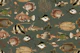 Tropical Oceania Fish Haven