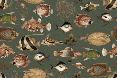 Pattern