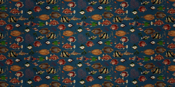 Tropical Oceania Night Haven