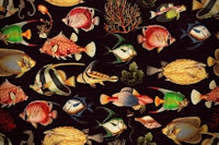 Tropical Marine Oceania Life ταπετσαρία