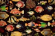 Tropical Marine Oceania Life