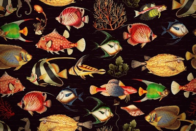 Pattern