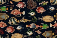 Tropical Oceania Marine Life ταπετσαρία