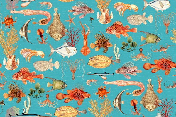 Oceania Fauna Ensemble