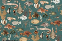 Oceania Fauna Artistry tapete