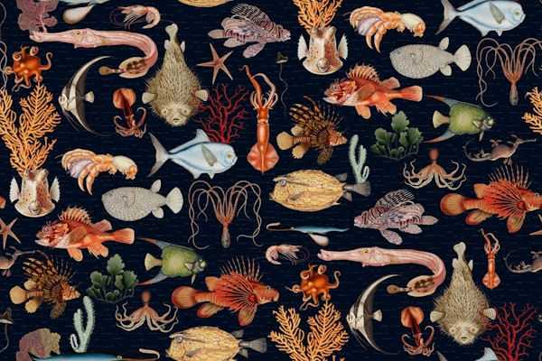 Deep Sea Oceania Creatures Art